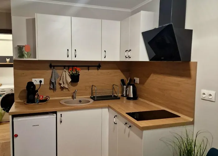 아파트 луксозен в модерна сграда -молимаркс делукс 부르가스